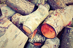 Pickney wood burning boiler costs